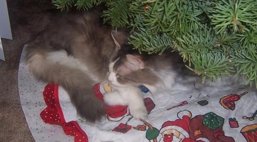 100_9003.jpg
