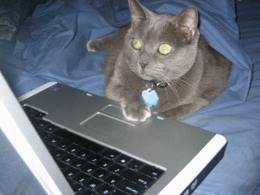 buddy.jpg