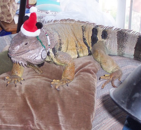 100_0931 - cropped.jpg