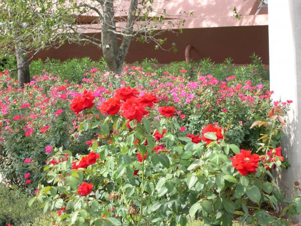 DSCN1199.jpg