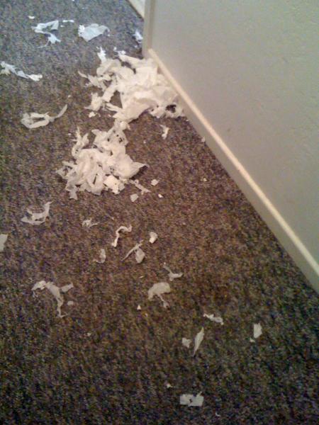 I dunno what these are 002.jpg