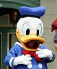 donald-duck.jpg