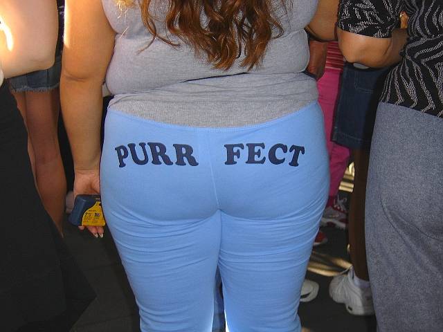 PURRFECT.jpg