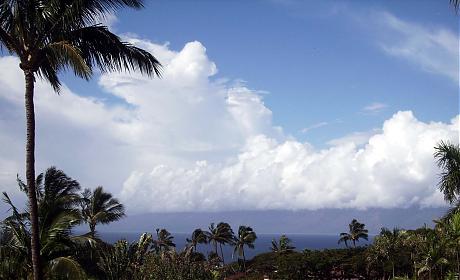 View.jpg