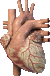 heart :heart: