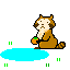 :raccoon: