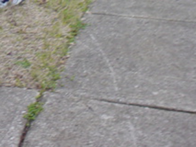 DSC01810