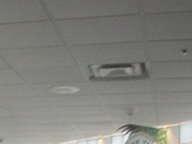 DSC02859