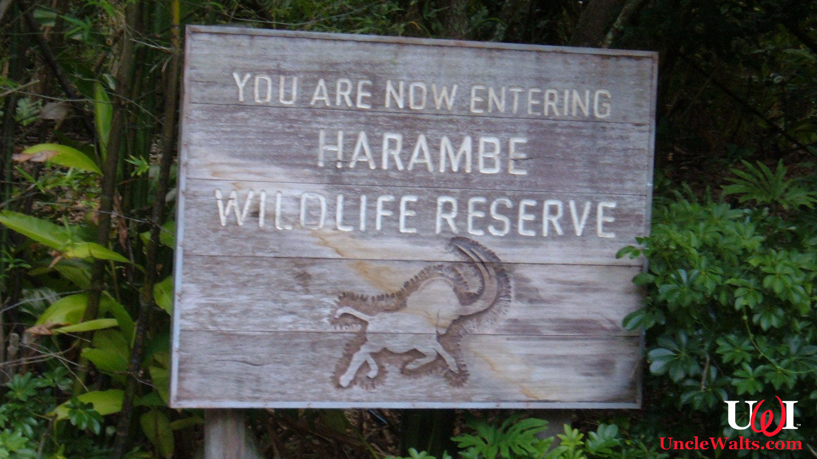 Sign seen at the entrance of Kilimanjaro Safaris. Photo by BrokenSphere [CC BY-SA 3.0], via Wikimedia Commons