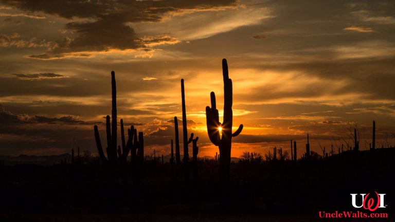 Take your California vacation in Arizona! Photo by Cindy Devin [CC BY 2.0] via Flikr.