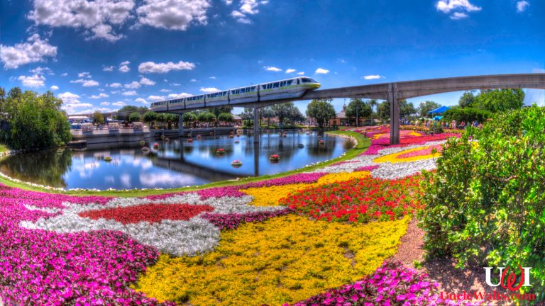 Free food and a monorail. Photo by Eric Marshall [CC BY 3.0] via Wikimedia Commons.