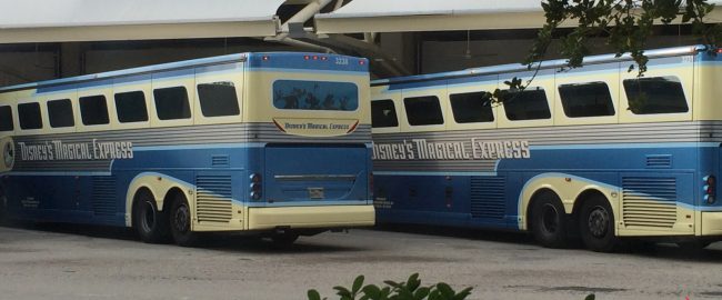 Disney's Magical Express buses. Photo by brownpau [CC BY 2.0] via Wikimedia Commons.