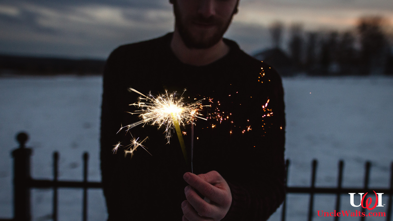 Steve, the replacement for Epcot's Illuminations. Photo © 2018 Disney (no relation).
