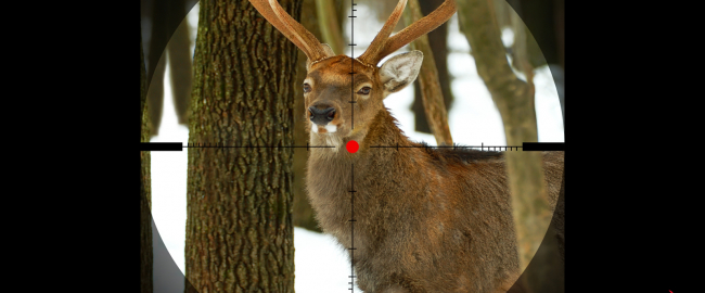 The first live-action Bambi; the search for a second is under way. Photo by insurancejournal.com via pinsdaddy.