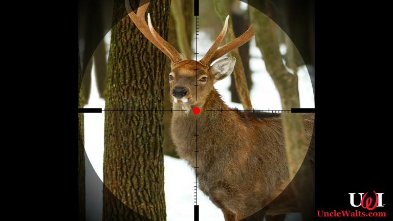 The first live-action Bambi; the search for a second is under way. Photo by insurancejournal.com via pinsdaddy.