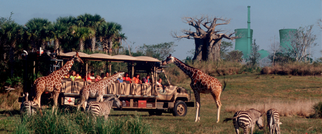 Disney's Kilimanjaro Safari on a clear day. Reportedly a nuclear power plant is visible from this ride somewhere.