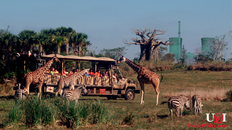 Disney's Kilimanjaro Safari on a clear day. Reportedly a nuclear power plant is visible from this ride somewhere.