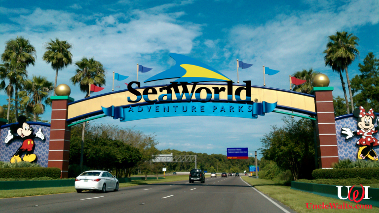 Ten reasons SeaWorld is NOT as good as a Disney park!