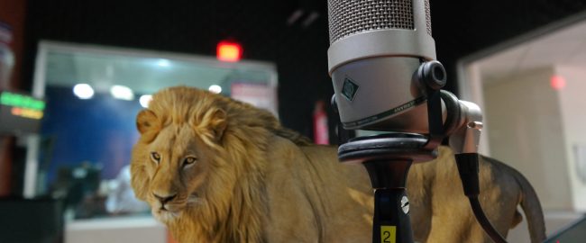 The lion speaks tonight. Photo [CC0] via PxHere & [CC BY-NC 4.0] via PNGImg.com.
