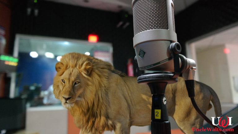 The lion speaks tonight. Photo [CC0] via PxHere & [CC BY-NC 4.0] via PNGImg.com.