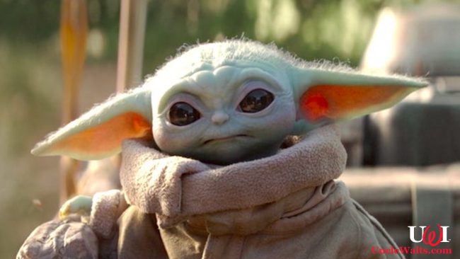 We find another reason to put Baby Yoda on our page. Photo © 2019 Disney.