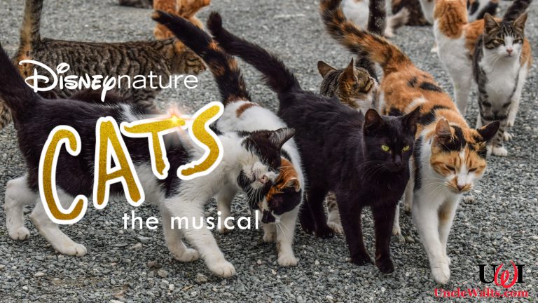 Pictured (front, L-R) Mr. Mistoffelees, Munkustrap, Macavity, Skimbleshanks (back, L-R) Jennyanydots, Grizabella, Rum Tum Tugger. Photo [CC0] via Pxhere.