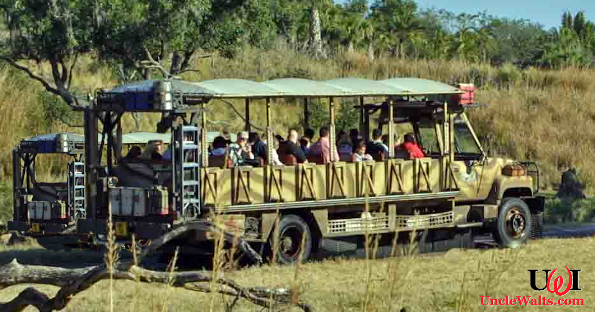 disney animal kingdom safari truck