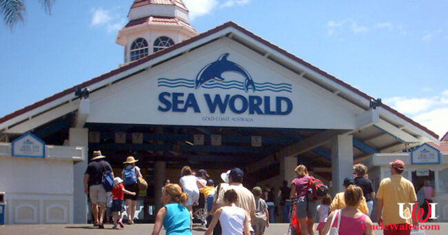 This proves that SeaWorld is now in Texas. Photo by Tristanb [CC BY-SA-3.0] via Wikimedia.