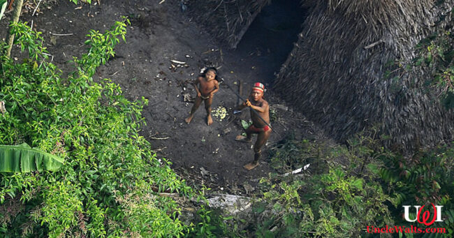 Just one of the scenes being removed from the Jungle Cruise. Photo by Gleilson Miranda/Secretaria de Comunicação do Estado do Acre, [CC BY 2.5 BR] via Wikimedia.
