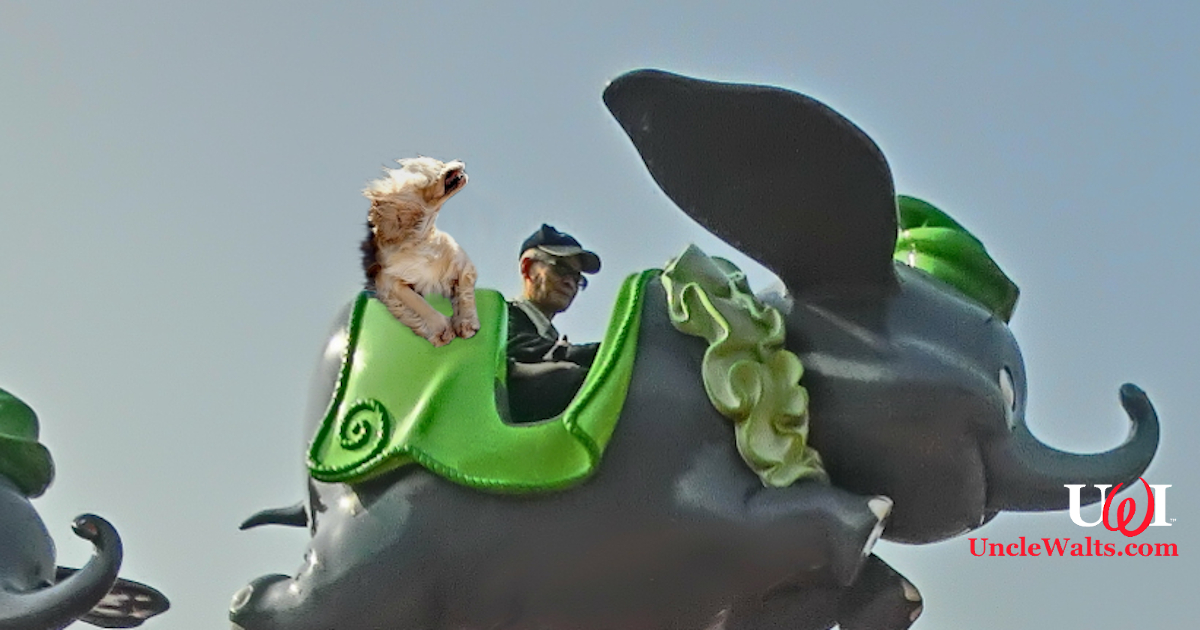 A dog happily rides Dumbo, caught moments before he plummeted. Photo by Hoifosuhetaizhu [CC BY-SA 3.0], via Wikimedia.