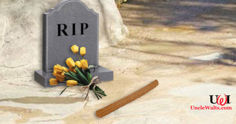 The five second rule does NOT apply to churros! Photo composite by Marty, as is the "comment below" question.